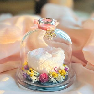 Eeuwige bloem onder een glazen stolp - pioenroos - romantische boho-bruiloftsdecoratie - cadeau voor bruidsmeisjes
