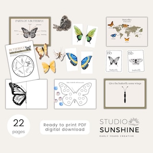 Butterfly Life Cycle Playdough Mats: Preschool Learning Activities (PDF Download)