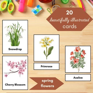Kwiaty i pąki Kwiaty wiosenne 3-częściowe karty dopasowujące | Montessori Preschool Homeschool Digital Printable Resource