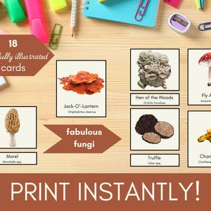 Pilz Montessori Bildkarten: Pilz Wissenschaft Printable (Digitaler Download)