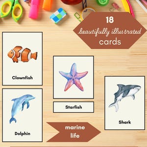 Deep Blue Discovery - Animaux de l'océan - Cartes-éclair Montessori assorties en trois parties | Ressource imprimable d'apprentissage à domicile pour les tout-petits d'âge préscolaire