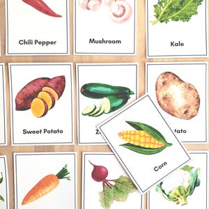 Tarjetas de 3 partes inspiradas en Montessori en el huerto / Material de aprendizaje preescolar sobre la naturaleza / Tarjetas físicas hechas por el maestro