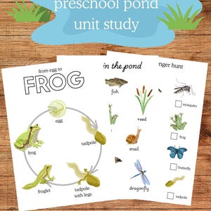 Pond Life Unit Study: Preschool Learning Activities (Digital Download)