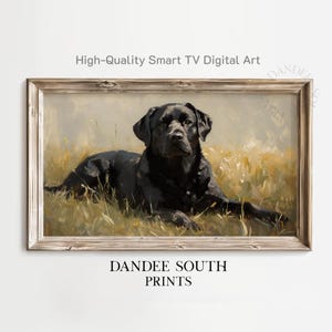 May include: A framed digital art print featuring a black Labrador Retriever lying in tall grass. The artwork has a vintage aesthetic with a neutral color palette. The text "High-Quality Smart TV Digital Art" and "DANDEE SOUTH PRINTS" are visible.