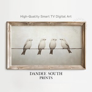 Op de afbeelding: Een ingelijste print met vier witte vogels op een draad tegen een zachte, neutrale achtergrond. Het kunstwerk zit in een houten lijst. De tekst bovenaan luidt "High-Quality Smart TV Digital Art" en onderaan "DANDEE SOUTH PRINTS".