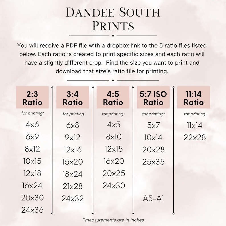 May include: A print size guide from Dandee South Prints, featuring various aspect ratios like 2:3, 3:4, 4:5, 5:7 ISO, and 11:14. Each ratio lists corresponding print sizes in inches, such as 4x6, 6x8, and 8x10, with a note about receiving a PDF file.