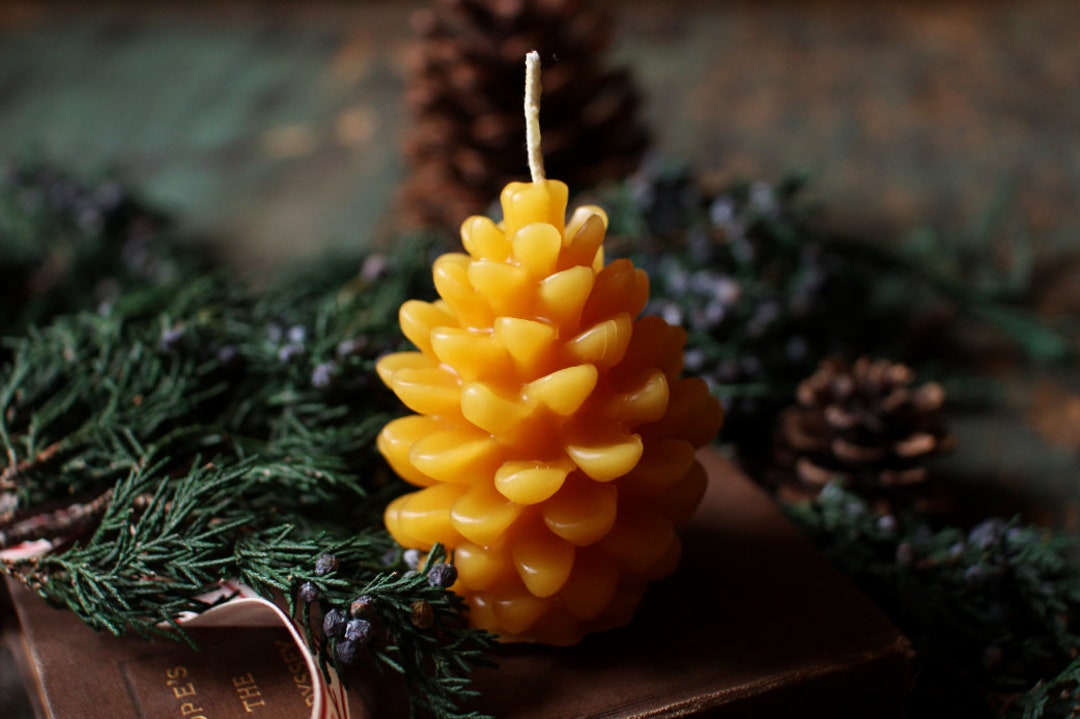 Beeswax Pine Cone Candle - Etsy