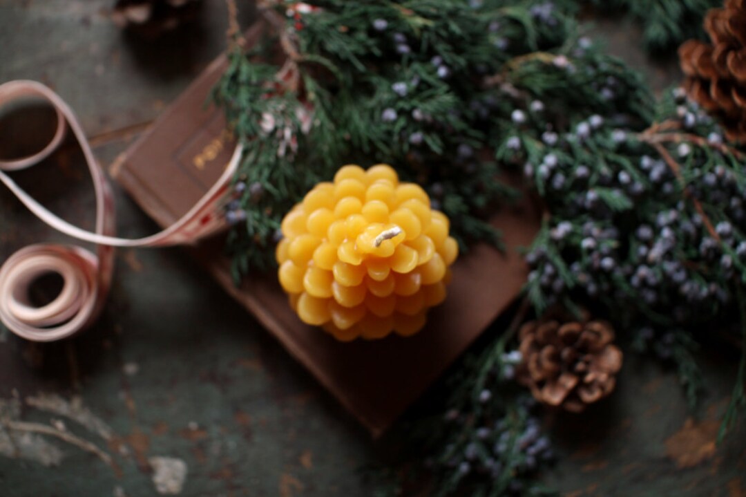 Beeswax Pine Cone Candle - Etsy