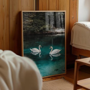 Schwäne Paar auf See Poster Romantisches Poster, Romantisches Geschenk, Schwäne Paar Poster, Schlafzimmer Poster, Paar Neues Zuhause Geschenk, Weiße Schwäne Leinwand