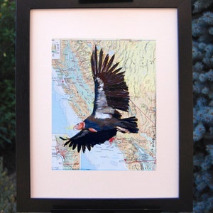 Giclee Fine Art Print California Condor Map of California Pacific Ocean Endangered Species image 3