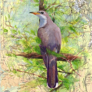 Giclee Fine Art Print of original painting on Map - Yellow Billed Cuckoo Endangered Species of Southwest US by Elo Wobig