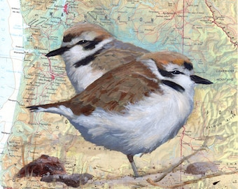 Giclee Fine Art Print - Snowy Plover -Map of Pacific Coast Oregon Washington - Endangered Species
