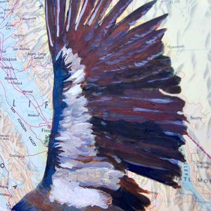 Giclee Fine Art Print California Condor Map of California Pacific Ocean Endangered Species image 2