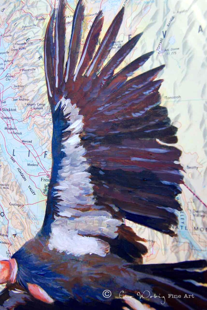 Giclee Fine Art Print California Condor Map of California Pacific Ocean Endangered Species image 2