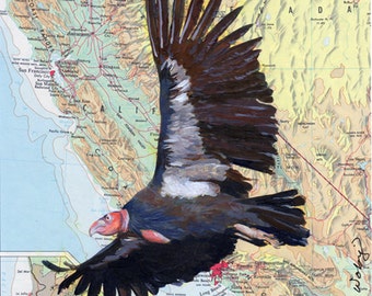 Giclee Fine Art Print - California Condor -Map of California Pacific Ocean - Endangered Species