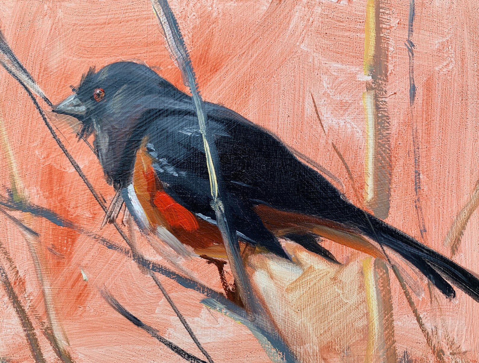 Original realistic wildlife oil painting bird oregon species Etsy