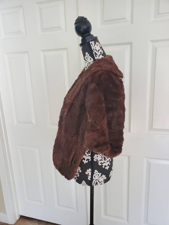 Lloyds Furs Alhambra Vintage Rabbit Skin Pelt Sto… - image 4