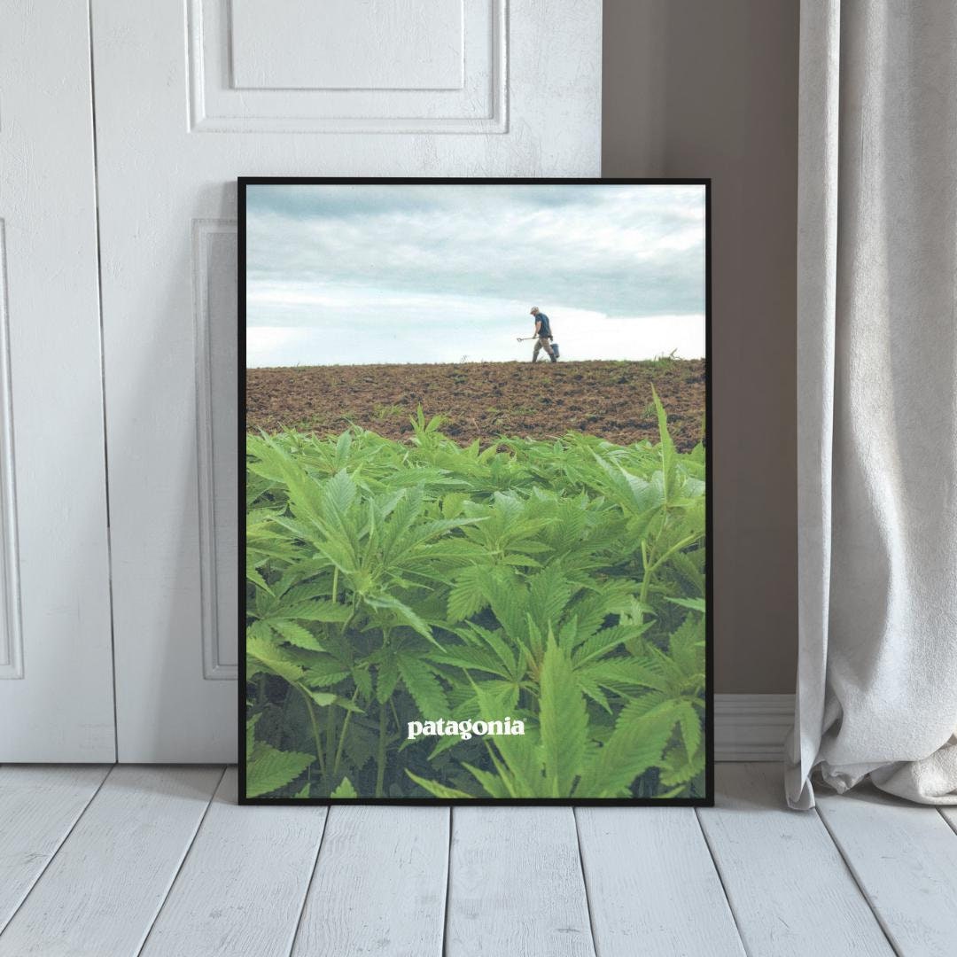 Patagonia 2019 Catalogue Front Cover Poster, Outdoor Print, Vintage Ad