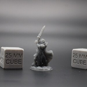 Paladin Fighter Female Great Sword Dagger Cape 32mm Miniature Dnd Skirmish