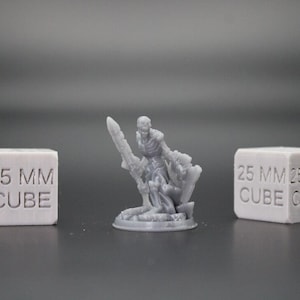 Skeleton Undead Warrior Fighter Sword Wood Shield 32mm Miniature Dnd Skirmish