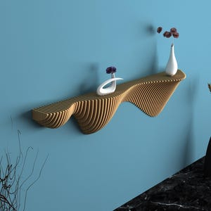 Parametric Shelf - Modern Large Wall Hangings - New Design Office and Living room decorations