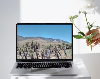Desert Landscape Art Print: Joshua Trees, California (Digital Download)