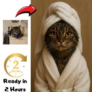 Descarga digital: Gato mojado personalizado en bata / Divertido retrato de mascota personalizado para amantes de los gatos / Arte digital de mascotas estilo spa / Regalo único