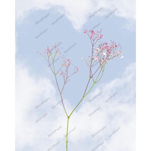 Carte florale délicate en forme de cœur de nuage - Carte de voeux romantique pour la Saint-Valentin, les mariages et les anniversaires
