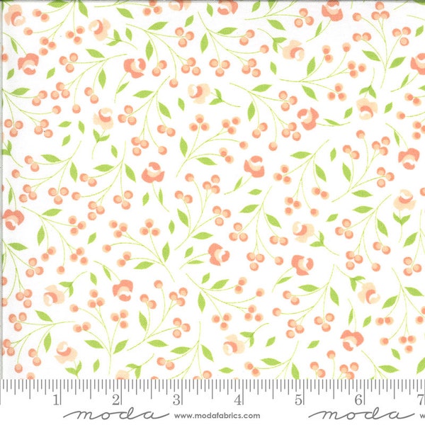 Apricot and Ash - Rosebuds Cloud Coral Peach Flowers on White Fabric, Moda 29103 11 Cloud, Corey Yoder, By the Yard