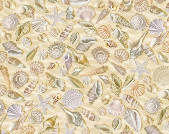 108" Extra Wide Backings - Shells on Sand Wide Quilt Back Fabric, Timeless Treasures XBEACH-CD5353 SHELL, Quilt Backing Fabric, By the Yard