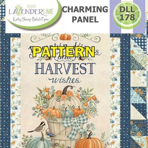 Charming Panel Frame Quilt PATTERN, Designs by Lavender Lime DLL178, Fabric Panel 5" Charm Squares Friendly Easy Quilt Pattern