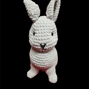 handmade crochet bunny - personalized