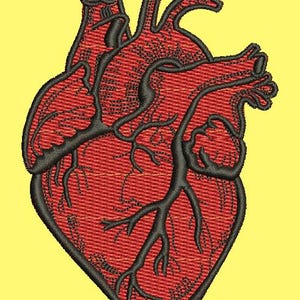 Anatomical Human Heart Machine Embroidery Designs, instantly download