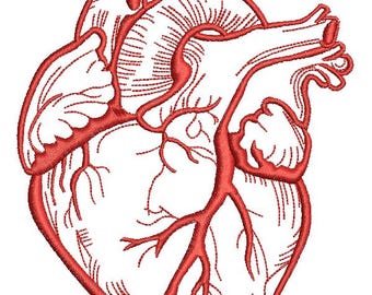 Anatomische machineborduurontwerpen menselijk hart, direct downloaden