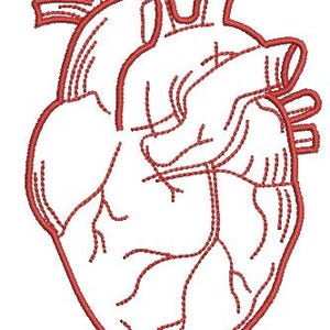 Anatomical Human Realistic heart  Machine Embroidery Designs, instantly download