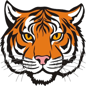 May include: A vector illustration of a tiger's face. The tiger has orange fur with black stripes, yellow eyes, a pink nose, and white accents. The whiskers are grey.