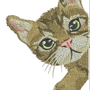 Op de afbeelding: Geborduurd beeld van een nieuwsgierige kat die van opzij kijkt. De kat heeft bruin en bruinachtig haar, groene ogen, een roze neus en witte snorharen. De poot van de kat is zichtbaar, wat bijdraagt aan het speelse ontwerp.