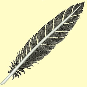 feather Machine Embroidery Designs, instantly download