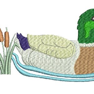 May include: A green-headed mallard duck with brown and white feathers is swimming in blue water.  The duck is surrounded by green reeds with brown tips.