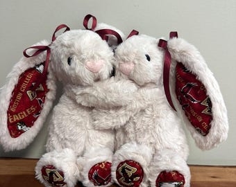 College Themed Bunny Plushes