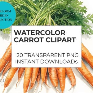 May include: Watercolor illustration of carrots with green tops. The image includes the text "Watercolor Carrot Clipart" and "20 Transparent PNG Instant Downloads". A teal circle in the upper left corner reads "Heirloom Garden Collection".