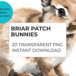 Puede incluir: Ilustración en acuarela de un conejo con pelaje marrón y beige. La imagen incluye el texto "Briar Patch Bunnies" y "Heirloom Garden Collection". Es una descarga digital.