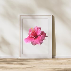 Hawaiian Hibiscus Print - Pink Double Hibiscus Wall Art (White Background) - Printable Decor
