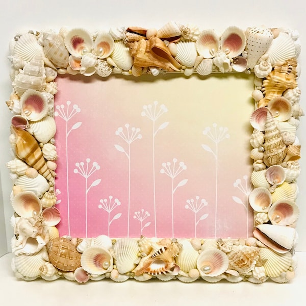 Seashell Frame - Etsy