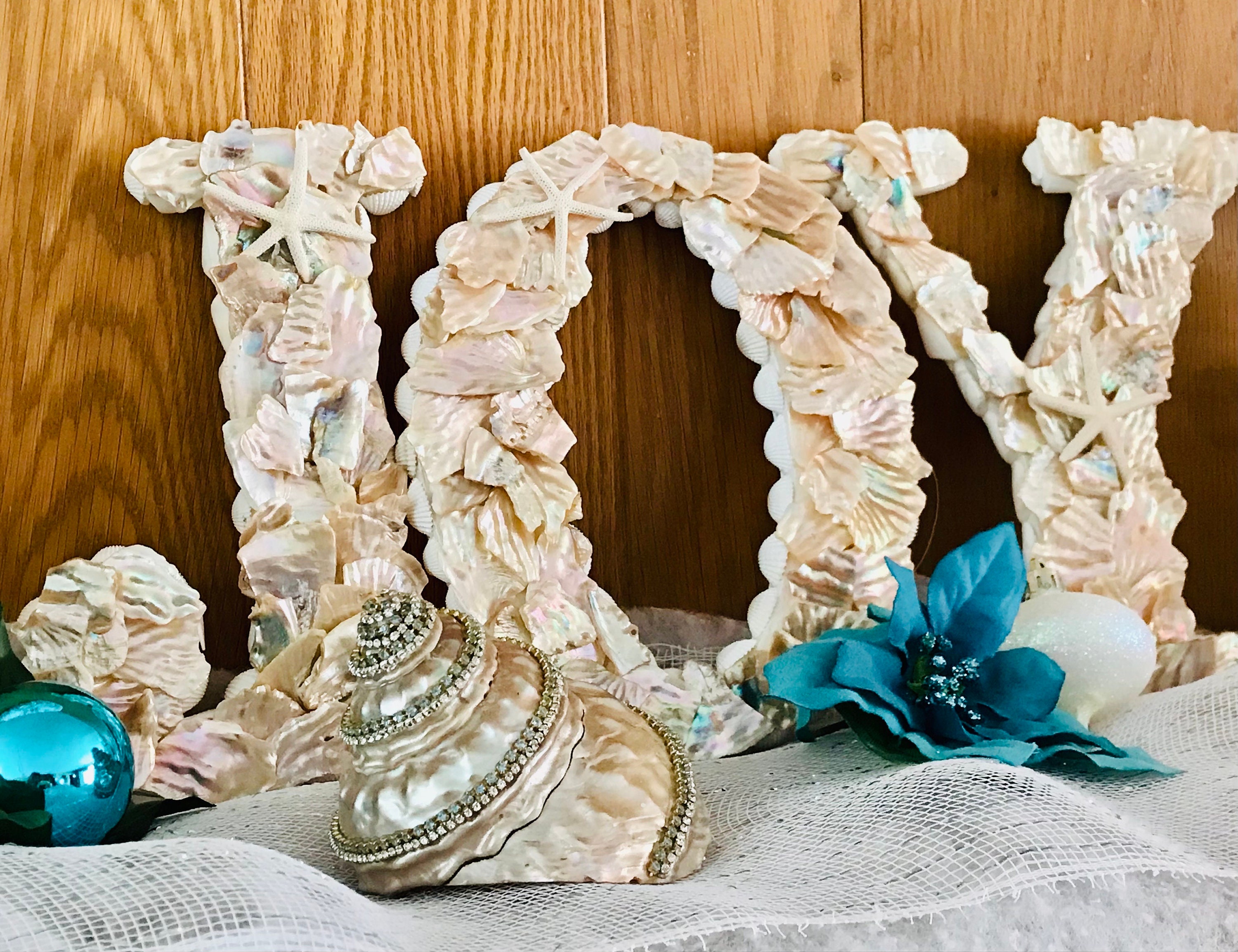 Undossa Shell Rhinestone Embellished Astrea Undosa Shell - Etsy