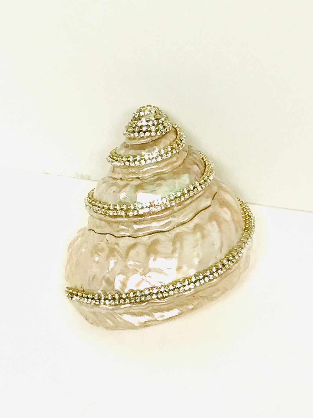 Undossa Shell Rhinestone Embellished Astrea Undosa Shell - Etsy