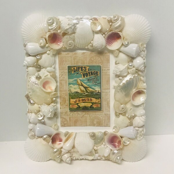 Seashell Frame - Etsy