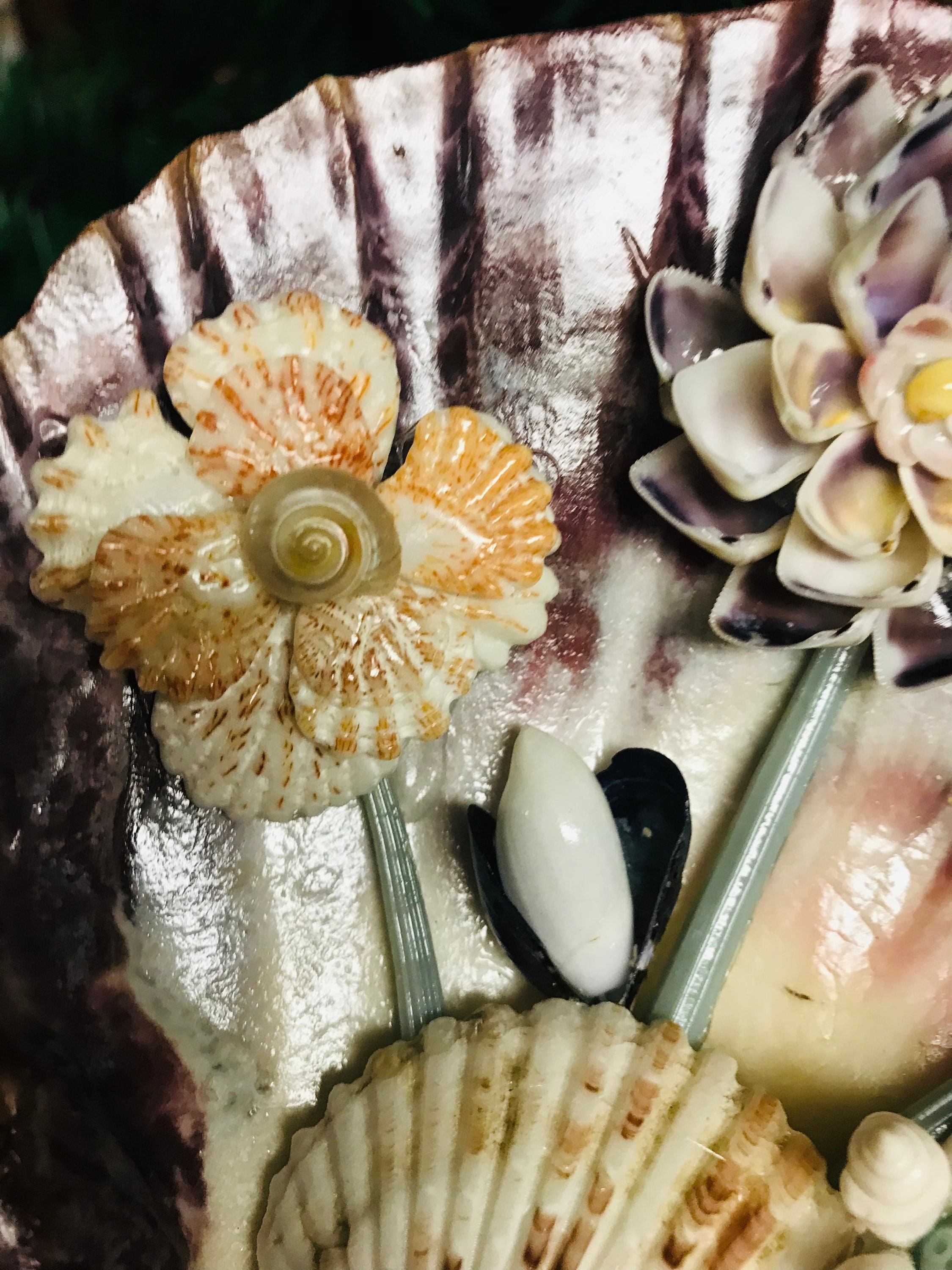 Lion's Paw Shell With Handmade Flowers - Etsy