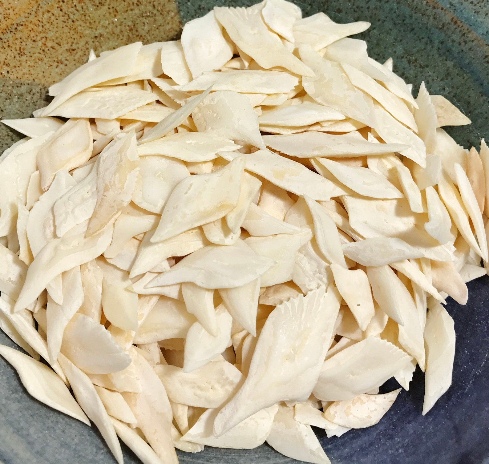 Gar Fish Scales 3 oz bag Etsy