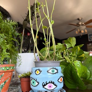 Abstract eye plant pot